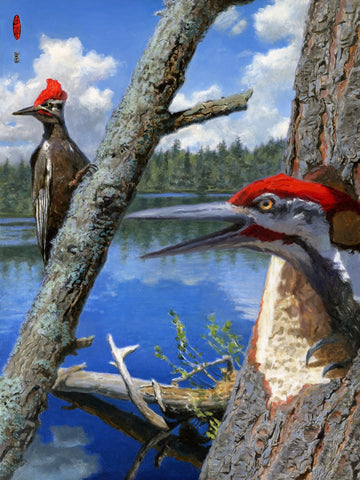 Gregory Hergert • White Pine Pond