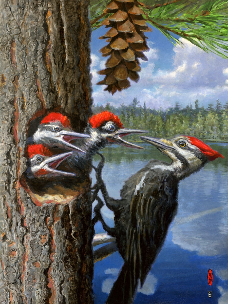 Gregory Hergert • White Pine Pond 2